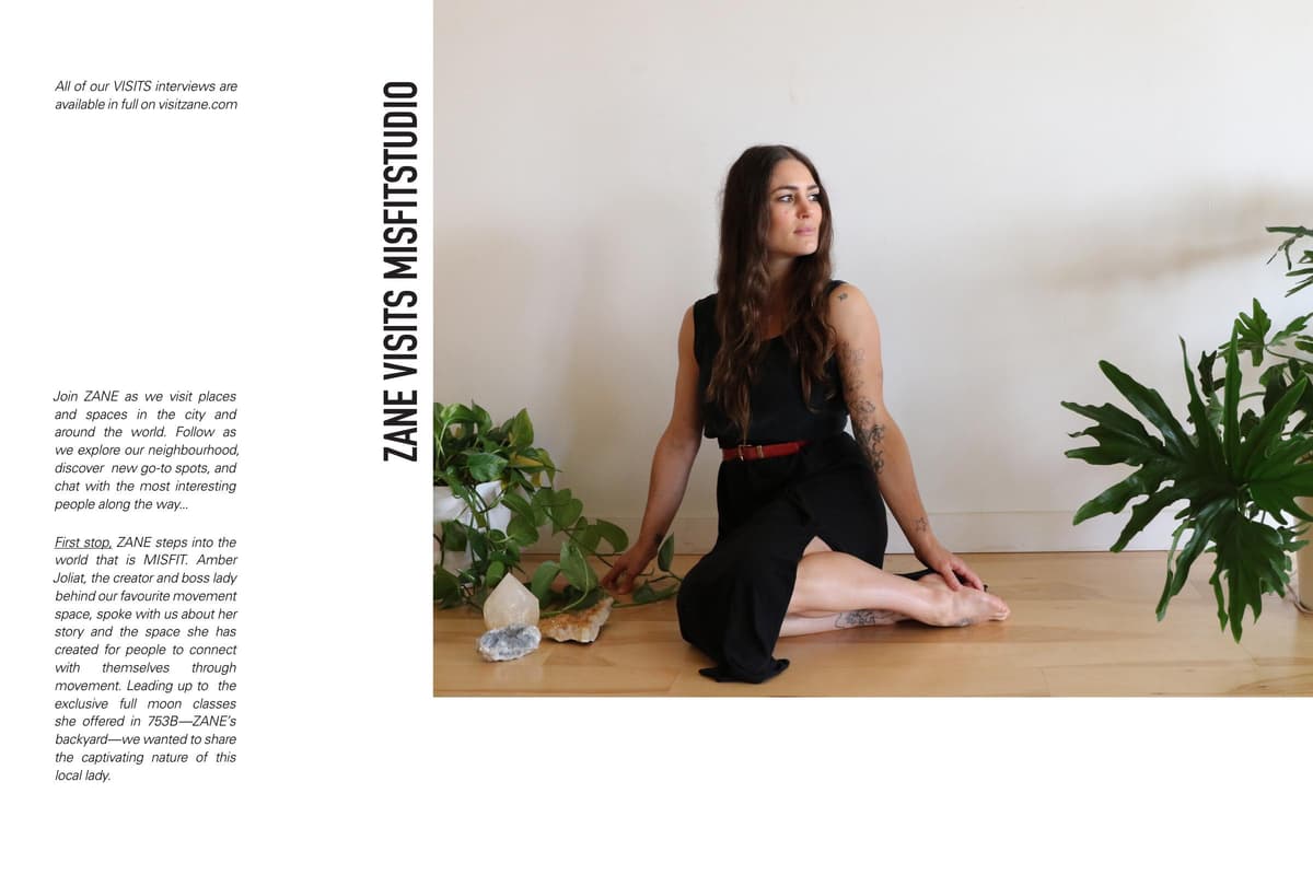 ZANE Visits Misfit Studio — community feature